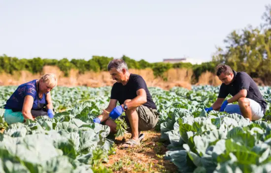 Extinguisher Training is Essential for Every Seasonal Crew